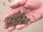 沙质壤土