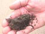粉质壤土