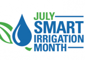 七月是聪明的灌溉月份