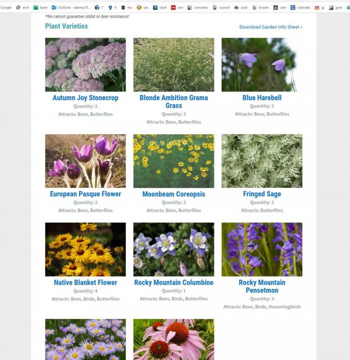 一个满是不同花朵的网页。