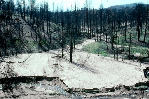 大雨在1996年布法罗溪火灾后，易于侵蚀腐蚀的分解花岗岩，进入水道。