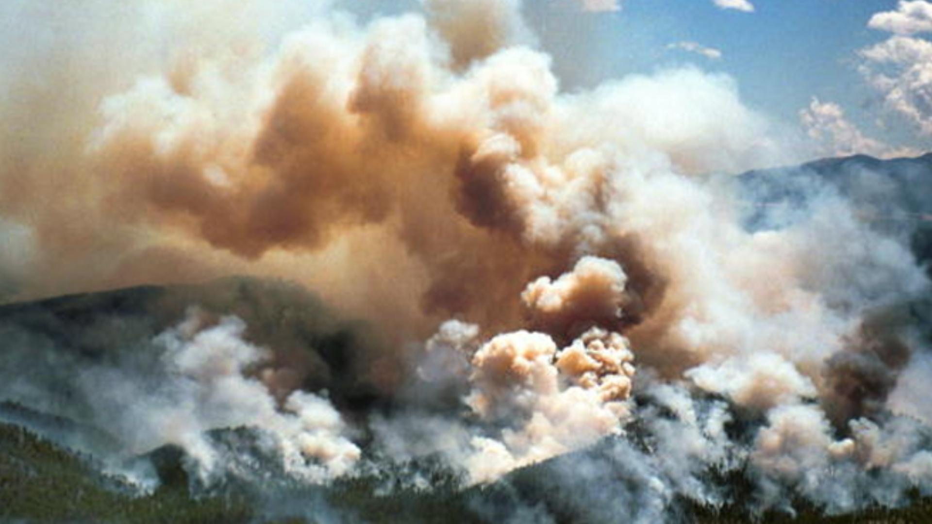 “从森林到水龙头”项目的启动是海曼和布法罗溪野火破坏性影响的结果。图片提供:上南普拉特联盟。