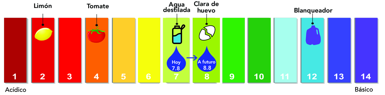 La escala de pH corre del 1 al 14。丹佛水务公司提供的水pH值为7.8到8.8，为客户提供可饮用的水。想象丹佛的水。