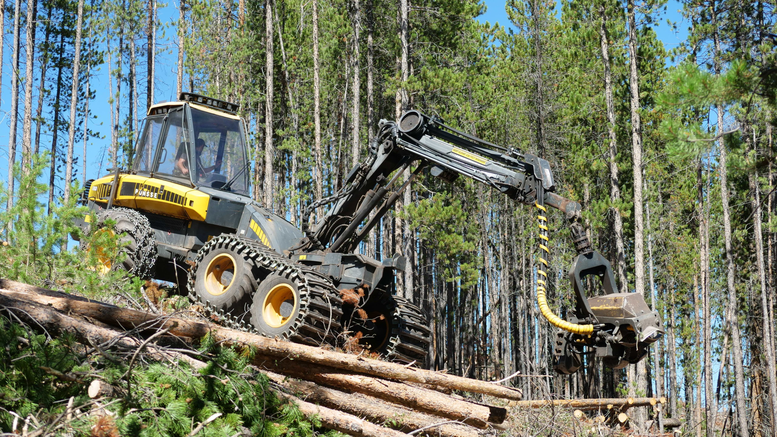 2020年8月，在布雷肯里奇，一辆Ponsse树木收割机正在削薄一块40英亩的森林。图片来源:丹佛水。
