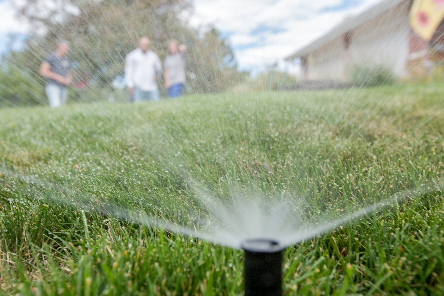 丹佛水务服务区域的许多客户浇灌蓝草草坪的用水量是每平方英尺18加仑或更多。专家说每平方英尺只需要12加仑就能保持草的茂盛和健康。图片来源:丹佛水。