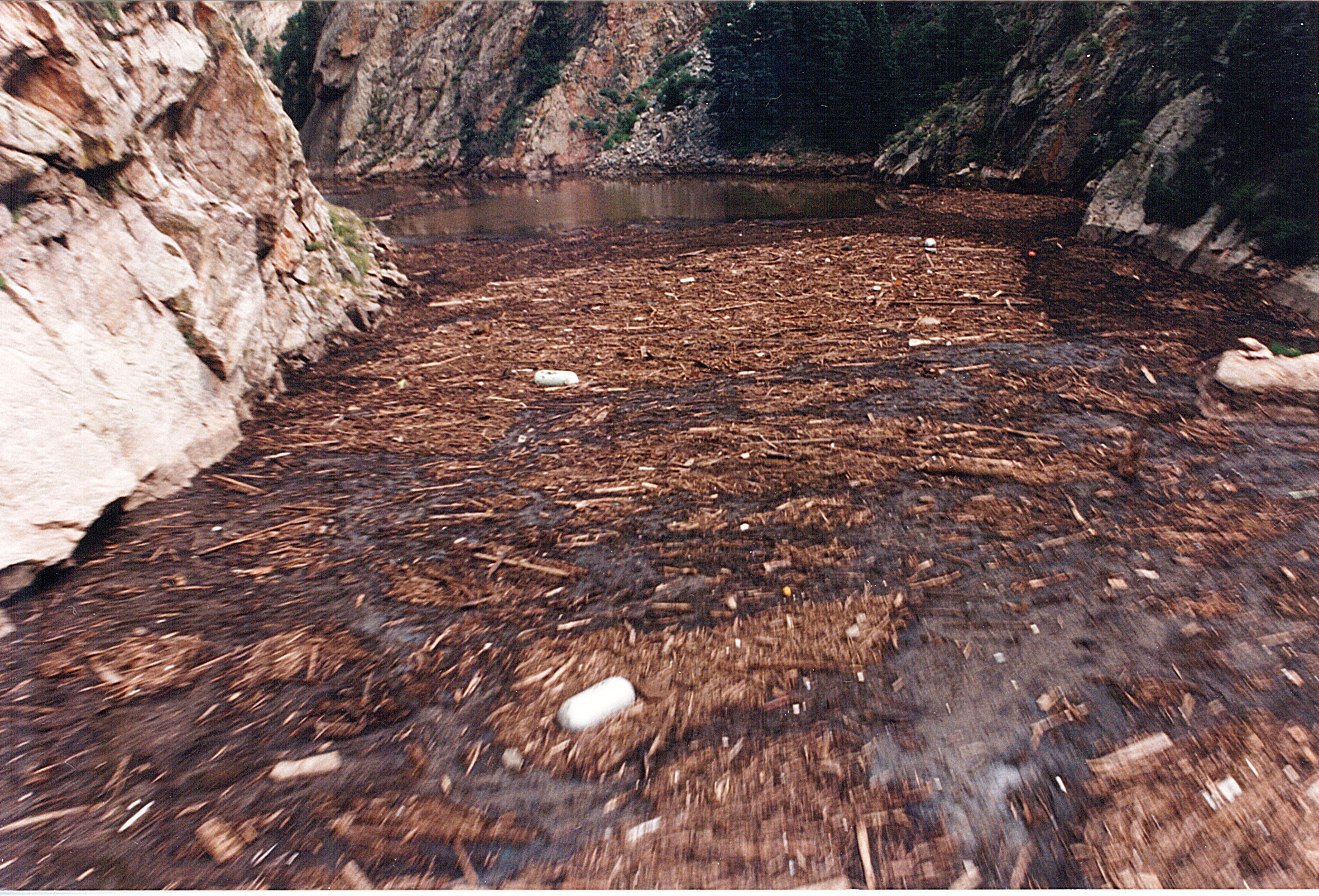 Buffalo Creek火灾和1996年洪水之后的碎片填充了Strontia Springs水库。照片信用：丹佛水。